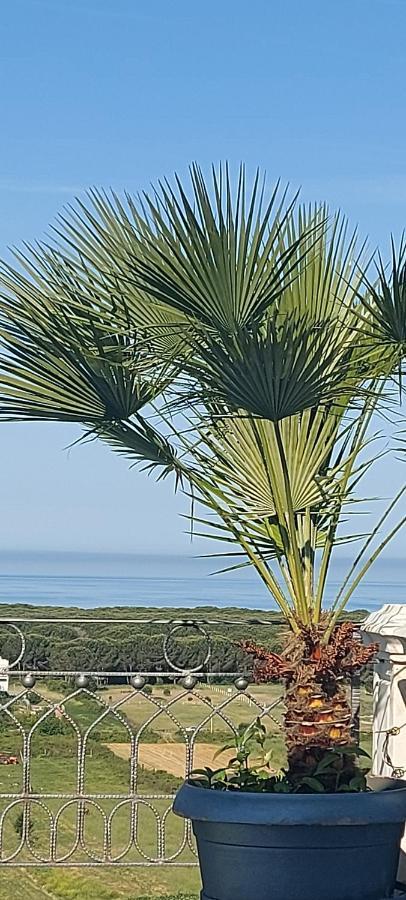 Villa Luiss Panorama Durres Luaran gambar